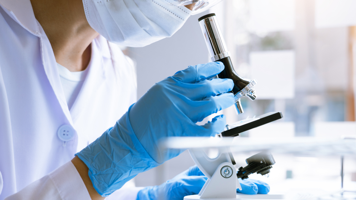 Analisi del Sangue: come leggerle e interpretarle
